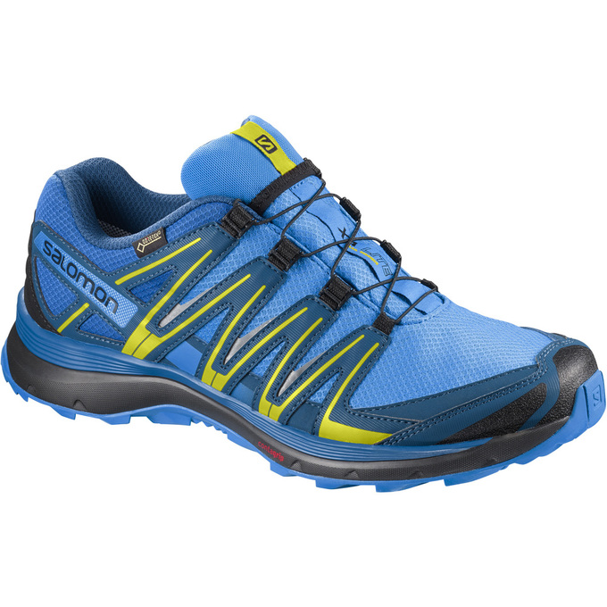 Zapatillas Trail Running Salomon Hombre Azules - Salomon Argentina XA LITE GTX® ,164907-SGE